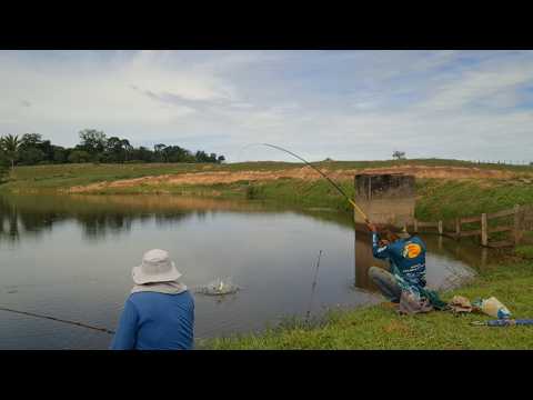 Pescaria de piranha, Fazenda Leo Batista, RO!!! - T05 Ep68. #pesca #pescaria #pescaesportiva