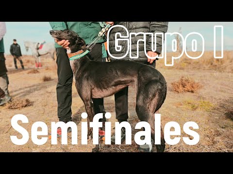 Group 1 Semi-final stage in Los Pradillos, December 2025