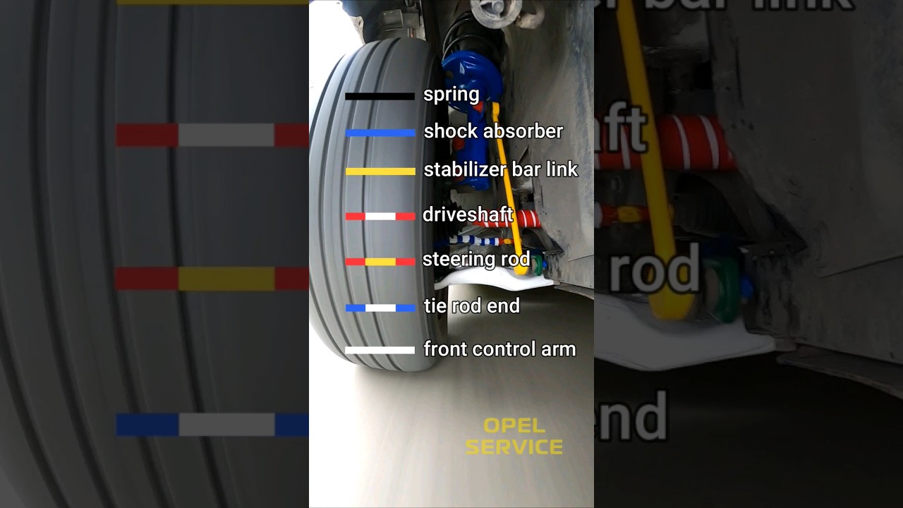 Which suspension component will break first with such driving #shorts