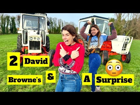 Loading Bertie for his next chapter