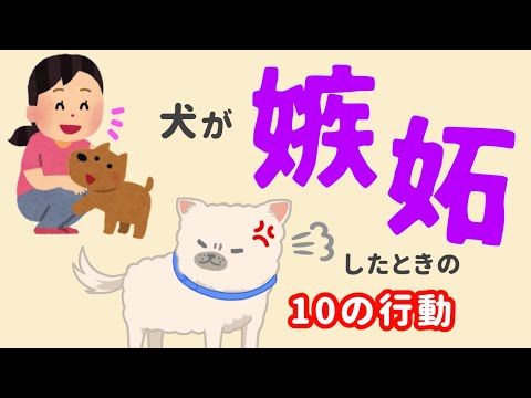 犬は嫉妬を感じますか?