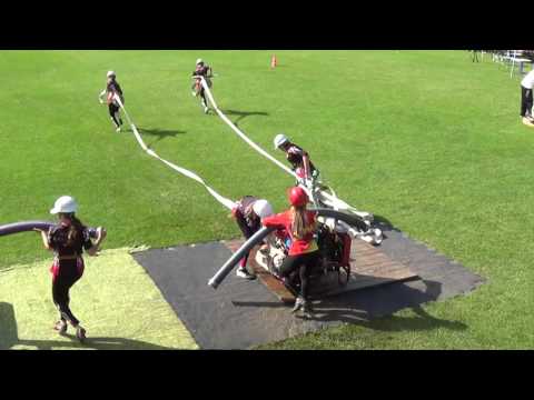 25.6.2016 DHZ Radošovce ženy 2.pokus - Letničie