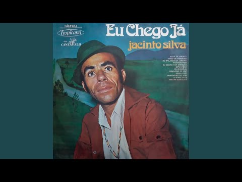Sabiá Da Mata - Jacinto Silva