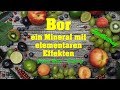 BOR Ein Mineral Mit Unglaublichen Effekten