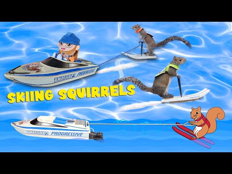 The Squirrels Go Skiing | Handyman Hal & Twiggy the Water Skiing Squirrel - Kingdom Kids Zone, Sing With Me - Handyman Hal - Music for Kids