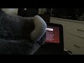 Pumbaa Watches The THX Logo