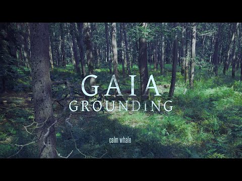 Grounding to Mother Gaia ???? Shaman Drum Journey, Gong & Nature ROOT Chakra Meditation Music