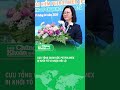 Why Was Former PJICO General Director Dao Nam Hai Prosecuted