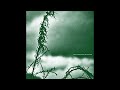 Rafael Anton Irisarri The North Bend 2010 Full Album