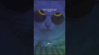 Download lagu 🔴 Story Wa DJ Papa Muda Goyang Goyang Body Mama Muda║Story Wa 30 Detik Terbaru 2022 mp3