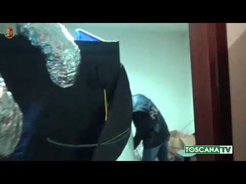 2019-04-11 PRATO - COLTIVANO MARIJUANA PER VENDERLA AGLI STUDENTI