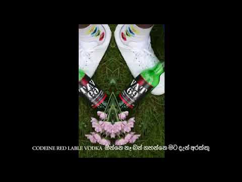 Costa x Duava....    ( Gammane.)