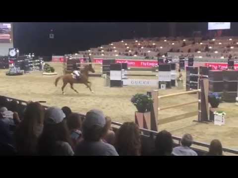 Bertram Allen Wins $130,000 Longines Speed Challenge