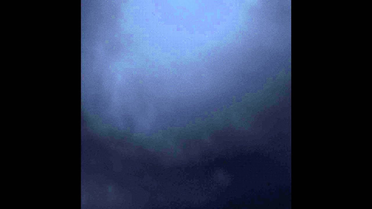 「同志は斃れぬ」