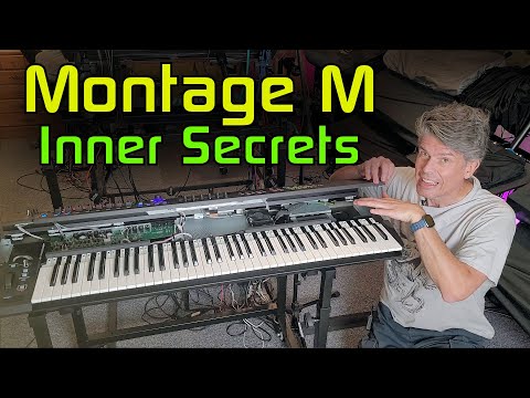Montage M: All the Inner Secrets of Yamaha's Flagship Synth