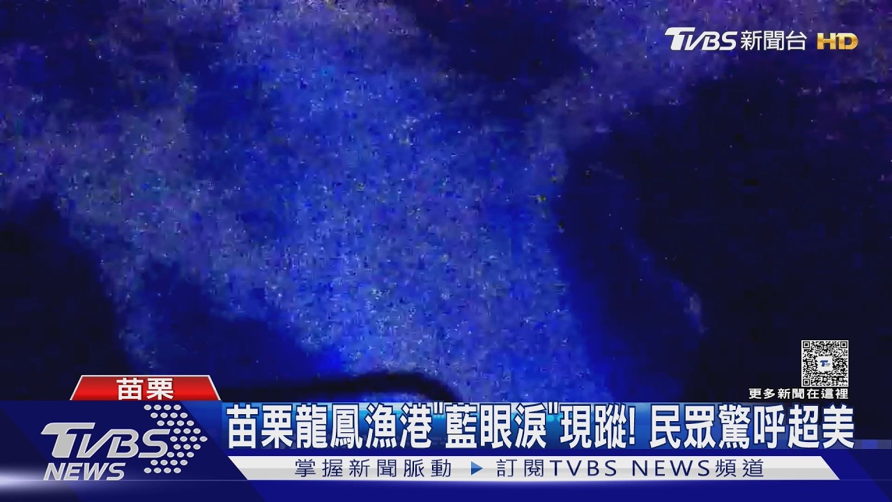 影音／夢幻藍眼淚現蹤苗栗！海面潑水秒發光　「這時段」去才看得到
