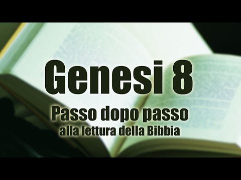 Genesi capitolo 8: lettura e commento passo dopo passo