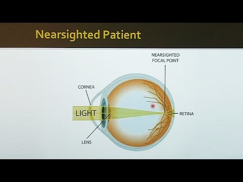 An Introduction to Ocular Function and Dysfunction