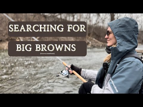 Searching For Big Browns On Lake Michigan Tributaries