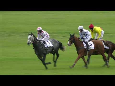 6. dostih - Cena Služeb města Pardubic - dostihy Pardubice 25. 5. 2019