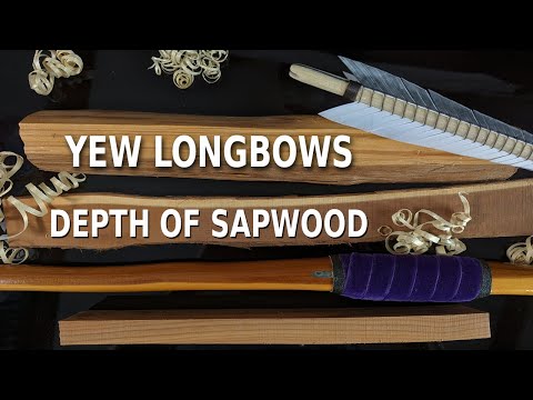 Depth of sapwood - How to make Self Yew Longbow Series