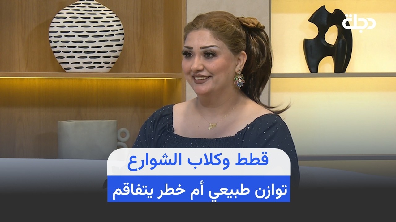 فيديو | قطط وكلاب الشوارع.. توازن طبيعي أم خطر يتفاقم