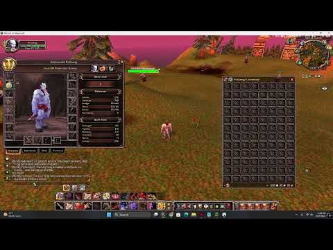Demo Video