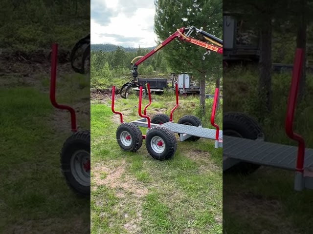 896774 Skogsmaskin  DF 304 +Kranman T3500  timmervagn 30-50 kran