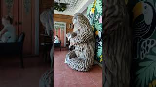 LIVEstream 2025- Roatan Breakfast Time HangOut