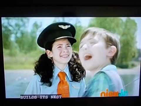 Dino Dan: Trek's Adventures - Flight of the Pteradaustro/Trekules 1/4