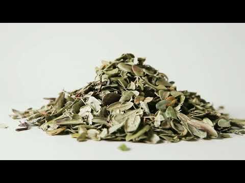   Брусника лист