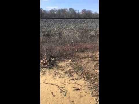 How should I reset traps after a catch?