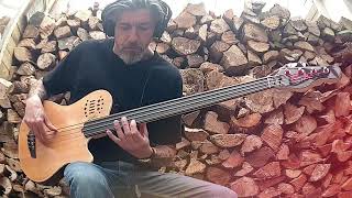 Video thumbnail for Fretless Godin A4 sa bass loop by chnapz