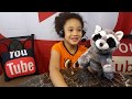 6 YEAR OLD PUPPET REVIEWS AURORA WORLD INC RACOON PUPPET HAND DELD STAGE PUPPET FOR KIDS AND ADULTS