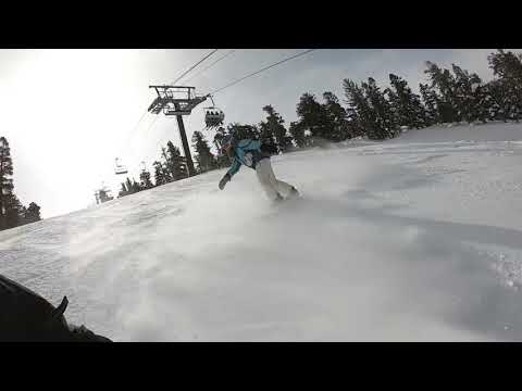 Heavenly: Tracked Out 2019.02.25