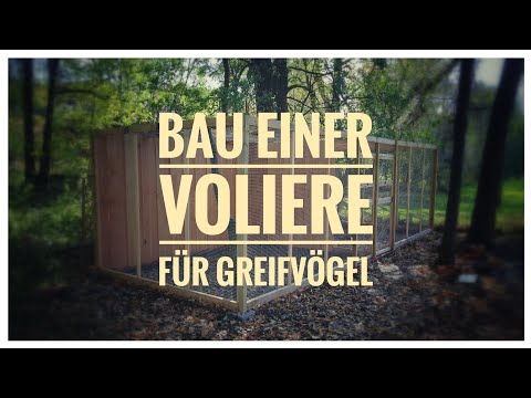 Bau einer Voliere für Greifvögel und Eulen