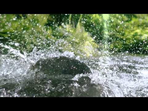 Krombacher Werbung 2013