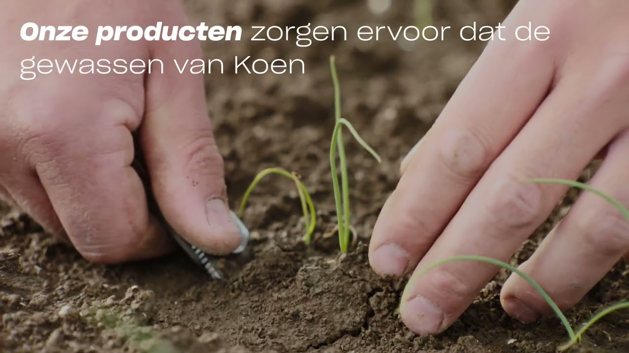 Video preview poster