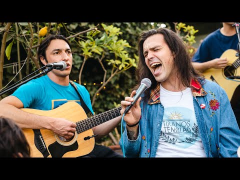 en el patio: Plumas - Cerca del Sol