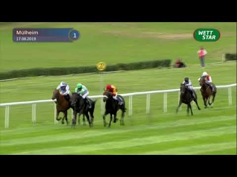 medl-Sommerpreis - Maiden (D)