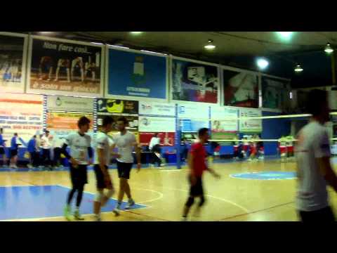 Marino Bulls  Hydra Latina