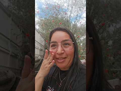 E chegamos em Ataléia  Minas Gerais 