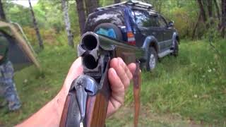 Сезон охоты на основные промысловые виды животных начнется в сентябре