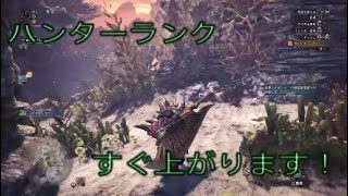 モンハンワールド　ハンターランクばかあげ！海台のワルツ