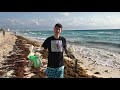 Clean The Beaches Of Cancun