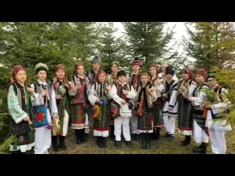 Ansamblul folcloric "Tălăncuța" "Plugușorul "