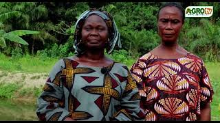 AFUPPA : Les Femmes de Petit-Pedro, Architectes de l’Espoir et de l’Autonomie