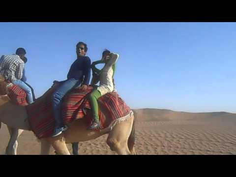 Travel UAE Dubai Desert Safari, Camel Ride 15 05 14 2