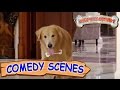 Akshay Kumar Trying To Kill The Dog Comedy Scenes Entertainment Hindi Film