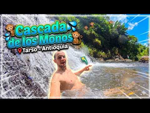💦Cascada Los Monos 🐒 📍Tarso Antioquia increible caida de Agua 🌐